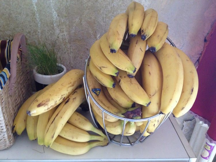 banany blog
